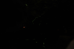 Dsc_8350_r